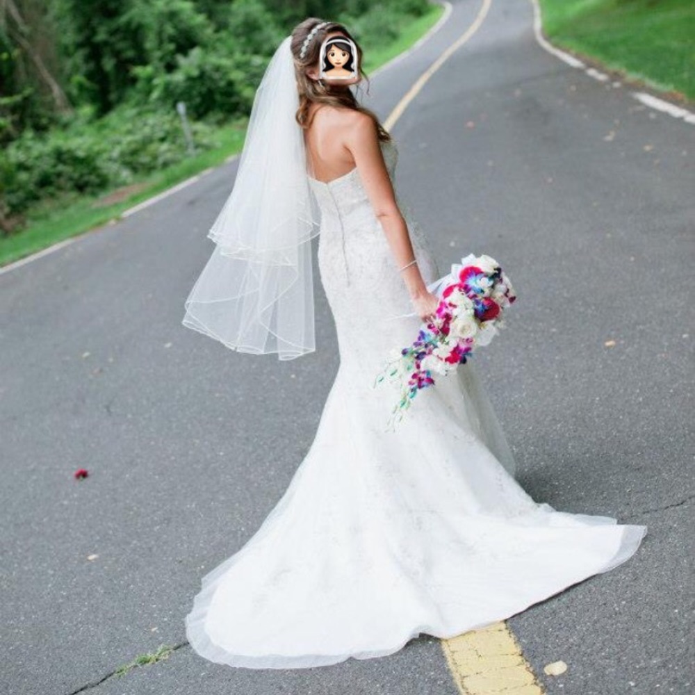 Wedding Dress & Veil
